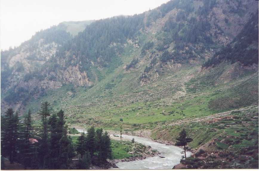 paki11.jpg (57441 bytes)