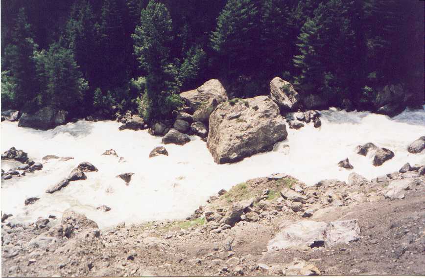 paki12.jpg (64645 bytes)