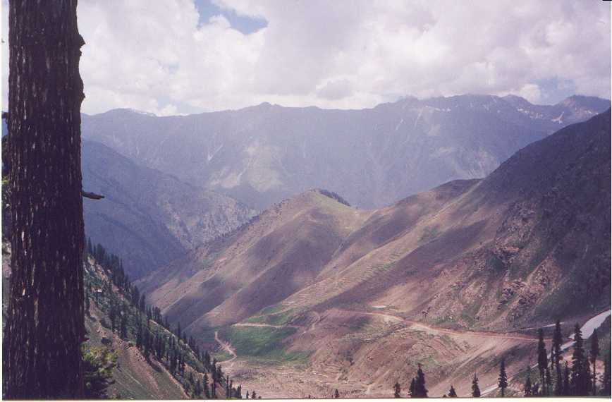 paki18.jpg (43514 bytes)