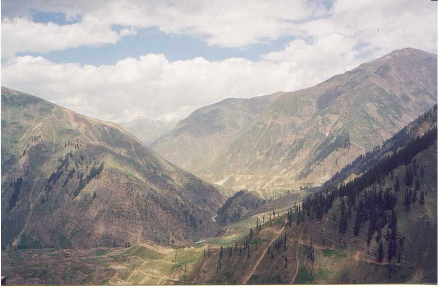 paki29.jpg (44970 bytes)