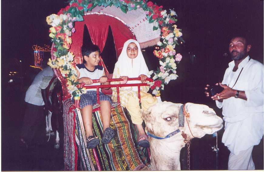 paki32.jpg (60300 bytes)