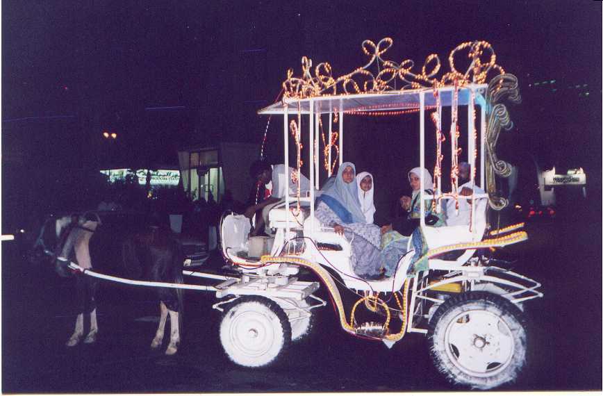 paki33.jpg (54357 bytes)